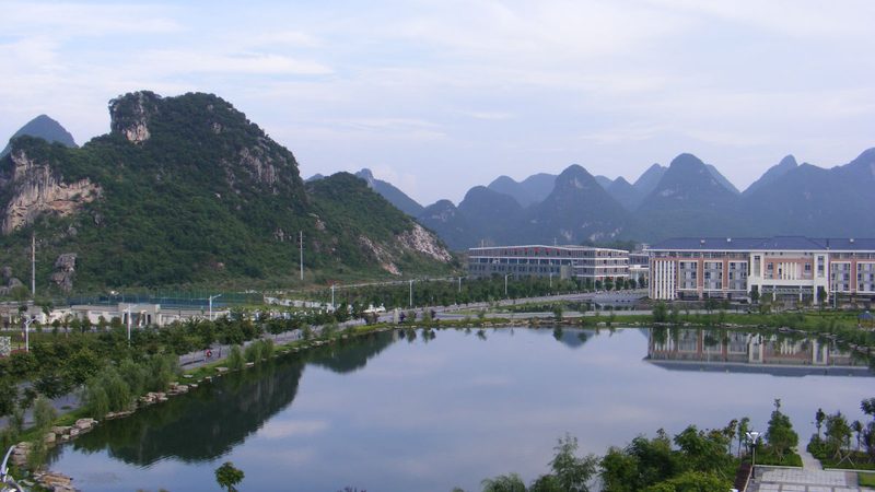 工业芯片采购：如何避免陷入误区**
