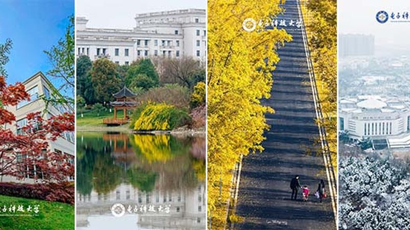 电容屏表面材质揭秘：种类与特性分析