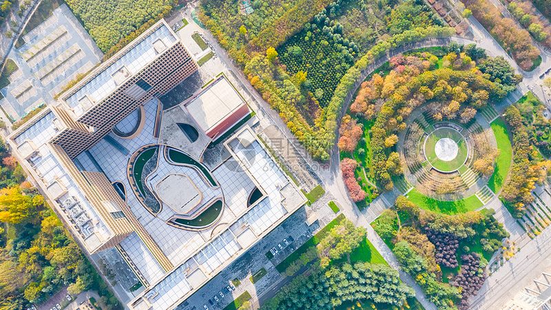 成都电子科技公司招聘：揭秘人才需求背后的行业趋势**