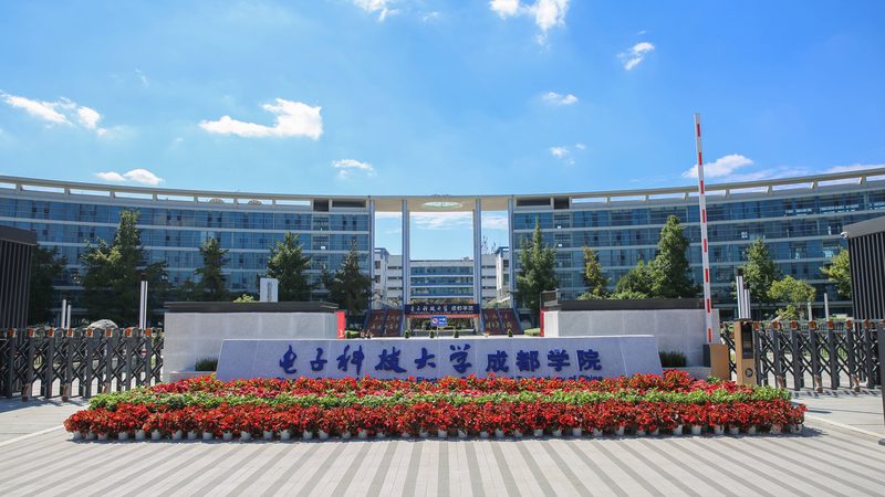 电子代工行业规范解析：优缺点与行业影响